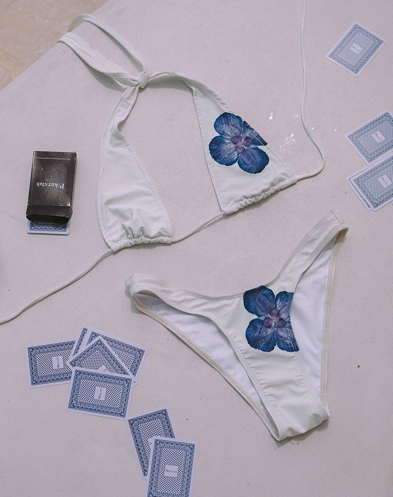 Image of Cerry Bikini Top in Ivory with Blue Orchid