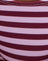 Vivid Lines Purple and Pink