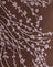 Moonlit Blossom Brown