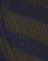 Khaki and Navy Blue Stripe