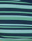 Irregular Stripe Green