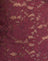 Lace Burgundy with Pink Binding