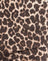 Rar Leopard Sandstorm