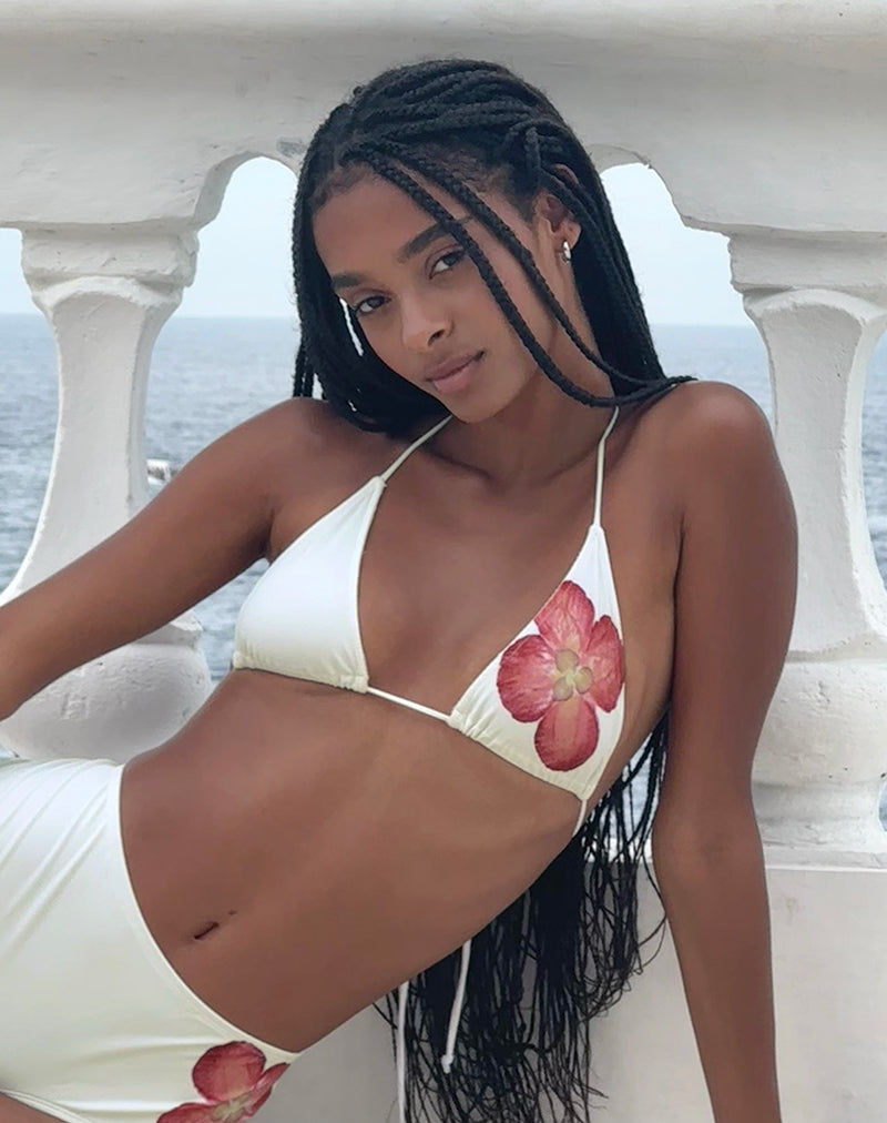 Image of Pami Bikini Top in Ivory with Pink Orchid