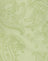 Retro Paisley Lime