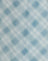 Blurred Check Blue