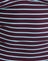  Purple and Blue Radiant Stripe