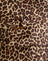  Rar Leopard