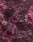 Abstract Rose Pink and Plum